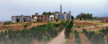 TMF Library